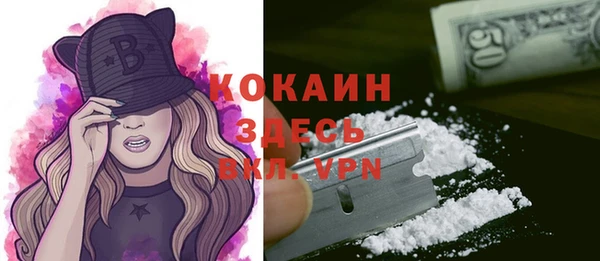 эйфоретик Арсеньев