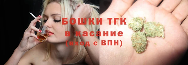 эйфоретик Арсеньев