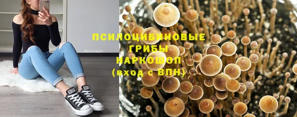 эйфоретик Арсеньев