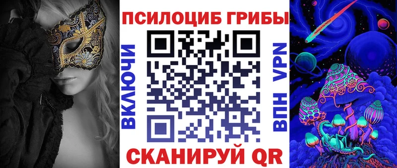 Псилоцибиновые грибы Cubensis  Асино 